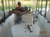 (09/23/2016) - Nice Striped Bass